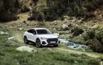 Audi Q3 Sportback 45 TFSI e S line 2020 года (WW)